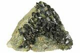 Lustrous, Epidote Crystal Cluster on Actinolite - Pakistan #164843-1